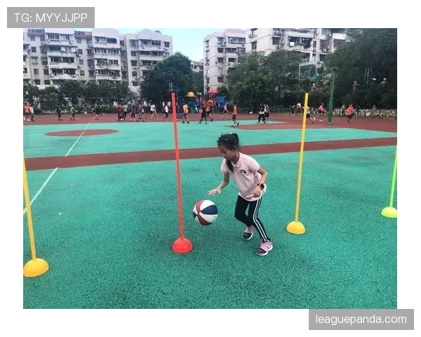 深度解析篮球挑战判罚规则及其适用场景与判定标准 深度解析篮球挑战判罚规则及其适用场景与判定标准